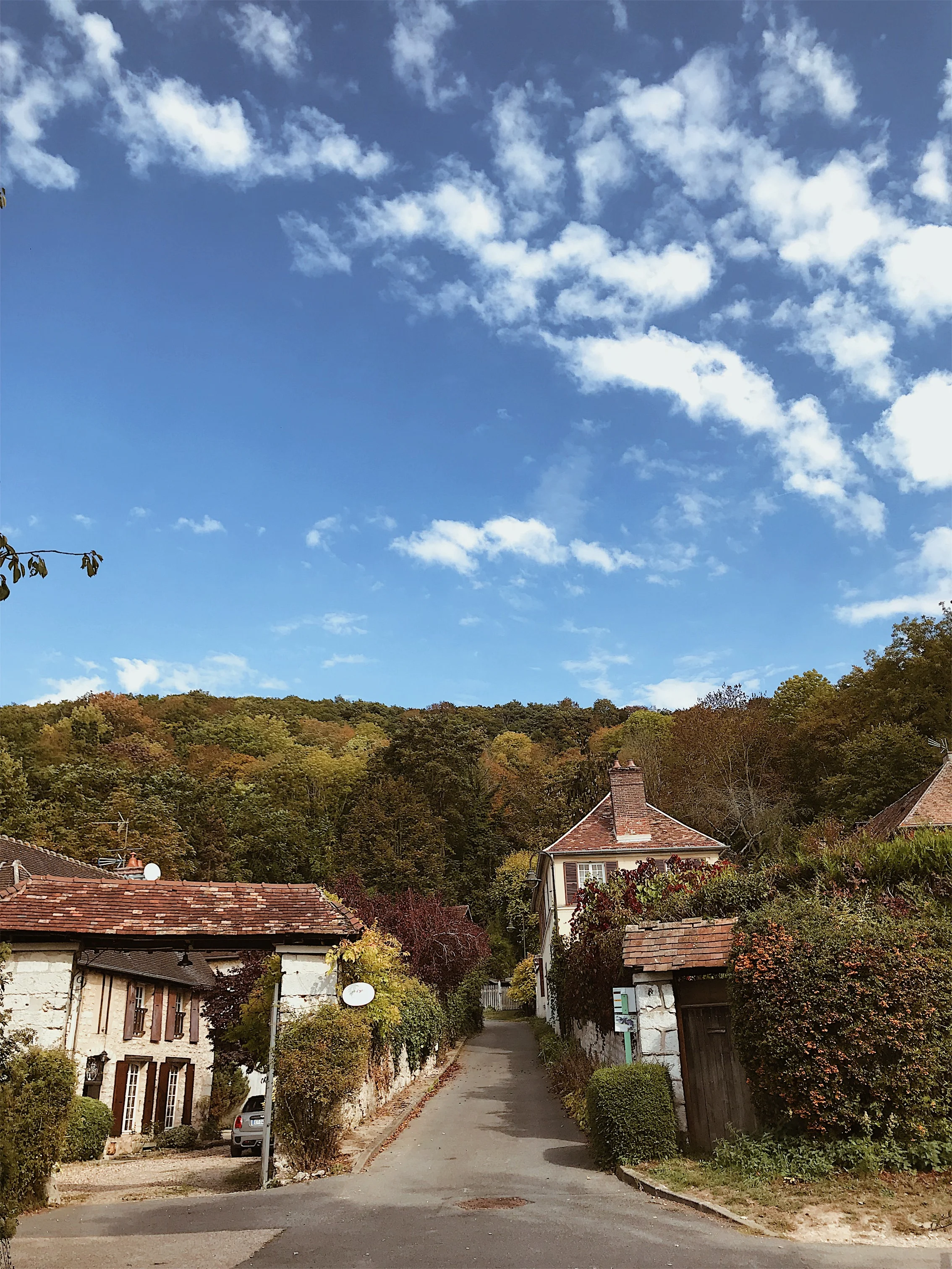 JPEG image-476BC34F2B23-2.jpeg